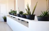 Туры в отель Sun Hall Beach Hotel Apts.