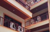Туры в отель MT Hotel Patong