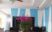 Туры в отель MT Hotel Patong