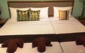 Туры в отель Siam Star Hotel