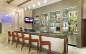 Туры в отель Hilton Garden Inn Sanliurfa