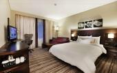 Туры в отель Hilton Garden Inn Sanliurfa