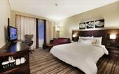 Туры в отель Hilton Garden Inn Sanliurfa