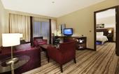 Туры в отель Hilton Garden Inn Sanliurfa