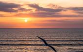 Туры в отель Amadil Ocean Club
