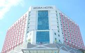 Туры в отель Ixora Hotel