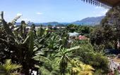 Туры в отель CHEZ LORNA 3 nights or plus