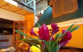 Туры в отель CHEZ LORNA 3 nights or plus