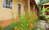 Туры в отель Vung Bau Resort