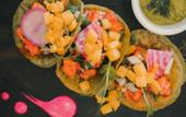 Туры в отель Orchid House Tulum Beach
