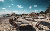 Туры в отель Orchid House Tulum Beach