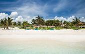 Туры в отель Orchid House Tulum Beach