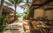 Туры в отель Orchid House Tulum Beach