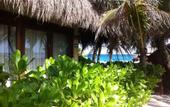Туры в отель Orchid House Tulum Beach