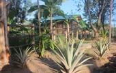 Туры в отель Pepper Farm Phu Quoc Bungalow