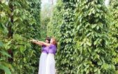Туры в отель Pepper Farm Phu Quoc Bungalow
