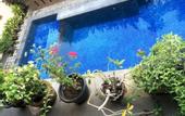 Туры в отель Waringin Home Stay