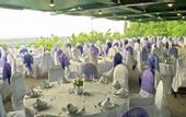 Туры в отель Gonluferah City Hotel
