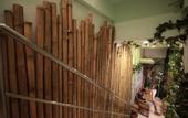 Туры в отель Rain Forest Hotel