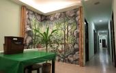 Туры в отель Rain Forest Hotel