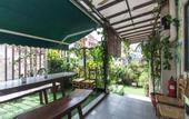 Туры в отель Rain Forest Hotel