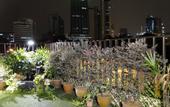Туры в отель Rain Forest Hotel
