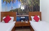 Туры в отель Rain Forest Hotel