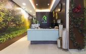 Туры в отель Rain Forest Hotel