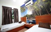 Туры в отель Rain Forest Hotel