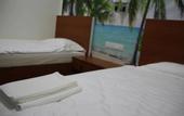 Туры в отель Rain Forest Hotel