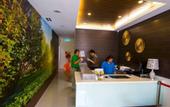 Туры в отель Rain Forest Hotel