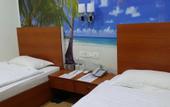 Туры в отель Rain Forest Hotel