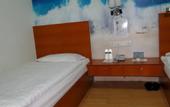 Туры в отель Rain Forest Hotel