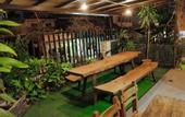 Туры в отель Rain Forest Hotel