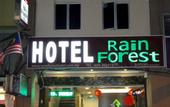Туры в отель Rain Forest Hotel