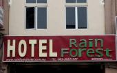 Туры в отель Rain Forest Hotel