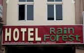 Туры в отель Rain Forest Hotel