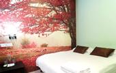Туры в отель Rain Forest Hotel