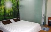 Туры в отель Rain Forest Hotel