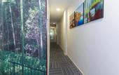 Туры в отель Rain Forest Hotel