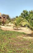 Туры в отель Little India Beach Cottages