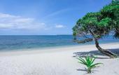 Туры в отель Trikora Beach Club & Resort