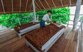 Туры в отель Trikora Beach Club & Resort