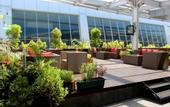 Туры в отель Swiss-Belhotel Cirebon