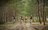 Туры в отель Le Coral Beach Resort and Cafe