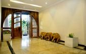 Туры в отель Avasta Resort and Spa