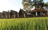 Туры в отель Avasta Resort and Spa