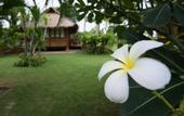 Туры в отель Suan Bankrut Beach Resort