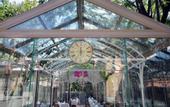 Туры в отель Villa Levante
