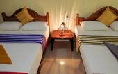 Туры в отель Sigiri Choona Lodge